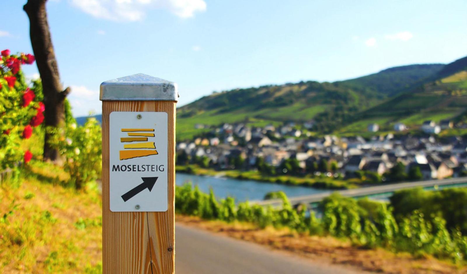 Weingut Mathy-Schanz Osann-Monzel Exterior photo