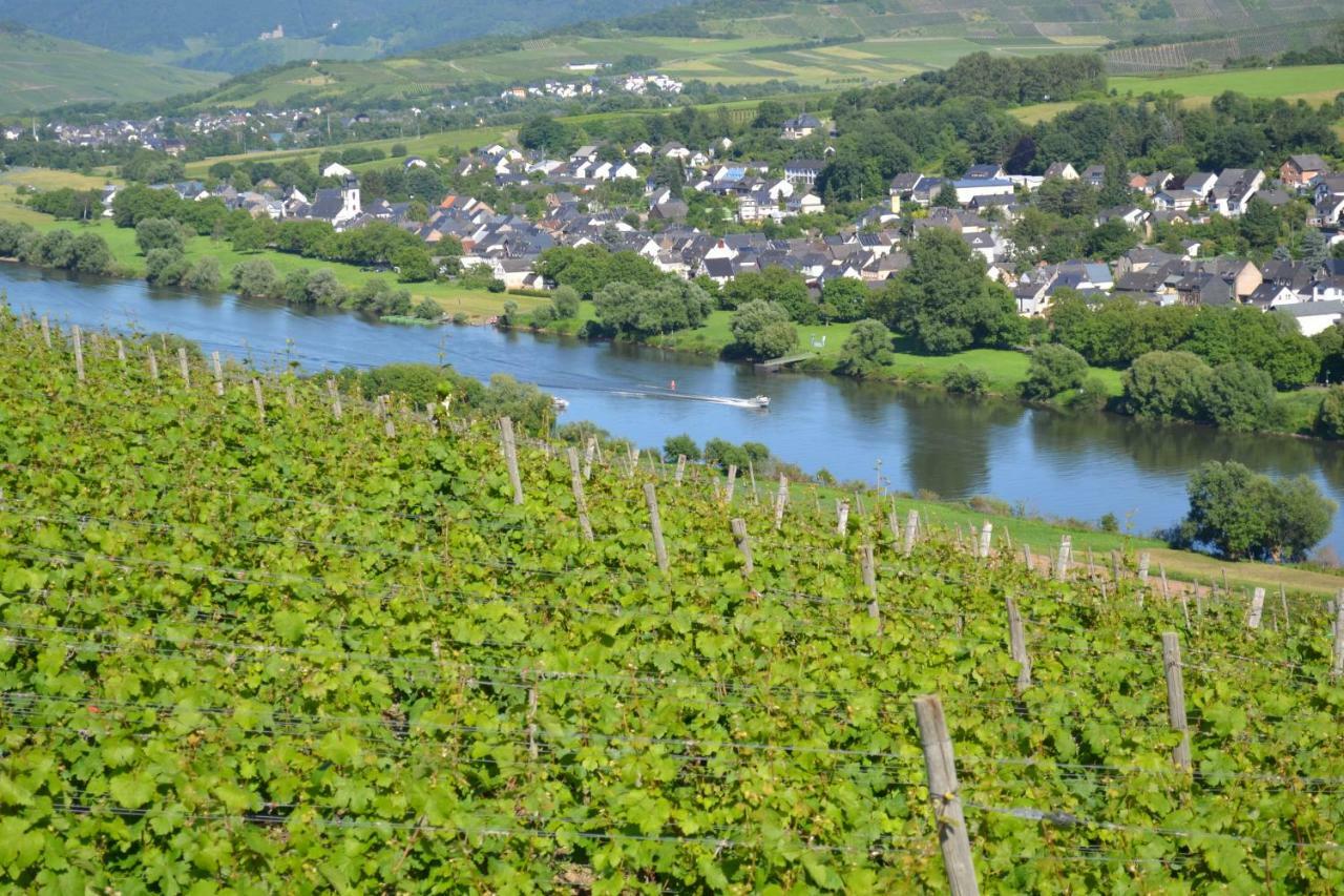 Weingut Mathy-Schanz Osann-Monzel Exterior photo